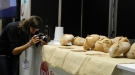 DSCN0927.JPG