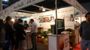 DSCN0908.JPG