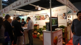 DSCN0908.JPG