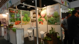 DSCN0910.JPG