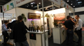 DSCN0915.JPG