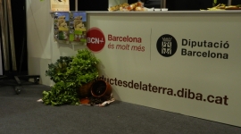 DSCN0953.JPG